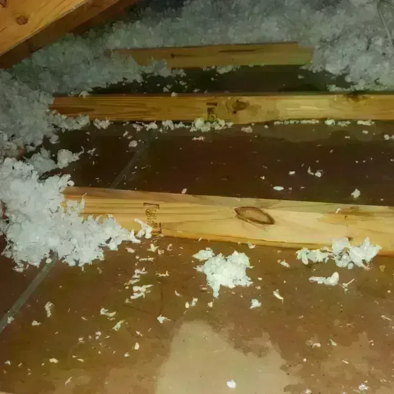 Attic Water Damage in Morrilton, AR