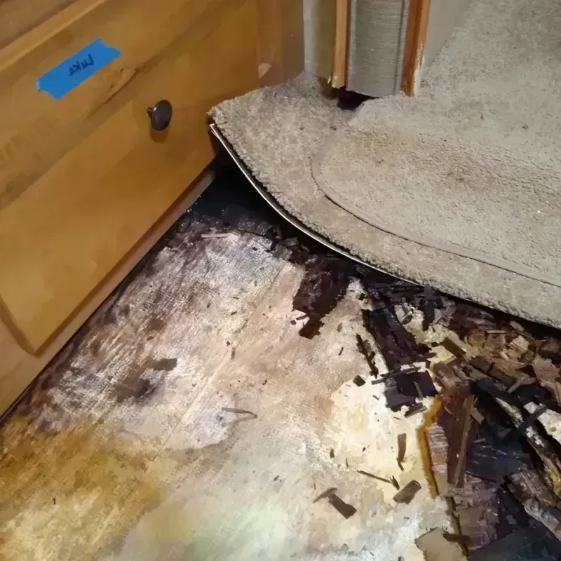 Best Wood Floor Water Damage Service in Morrilton, AR